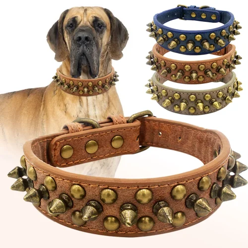 CP037-1--Vintage brass rivet heavy-duty adjustable pet dog collar,