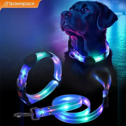 LED Light Up Dog Collar and Leash