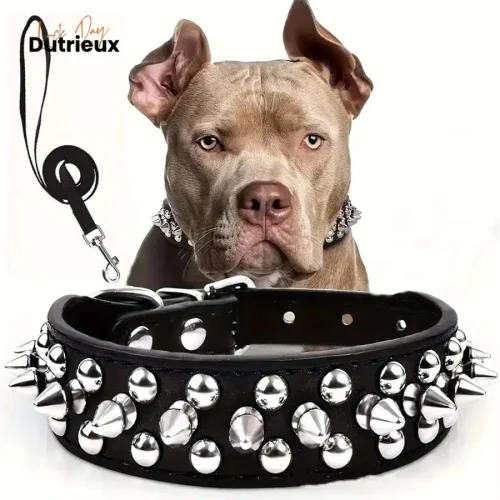 1PCS Adjustable Leather Pet Dog collar