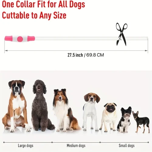 Pet Dog LED Light Collar